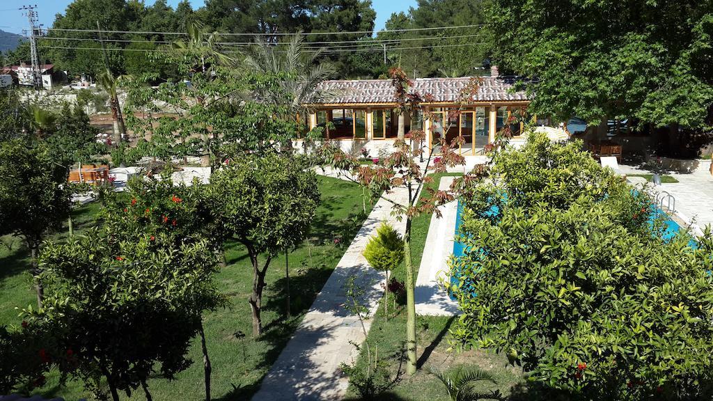 Sedir Palas Hotel Çıralı Extérieur photo