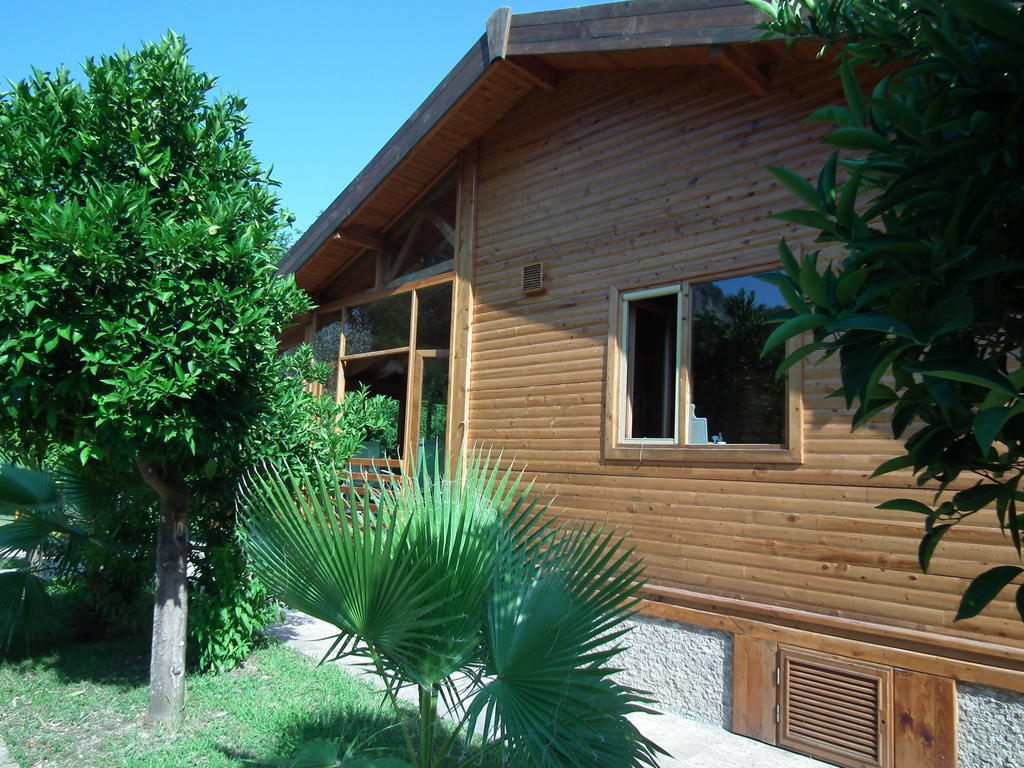 Sedir Palas Hotel Çıralı Extérieur photo